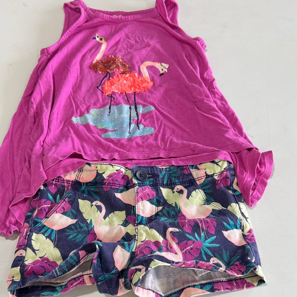 Gymboree Pink Top and Floral Shorts Set